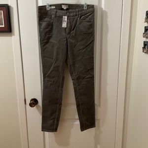 womens loft curvy skinny grey cords sz 6, nwt